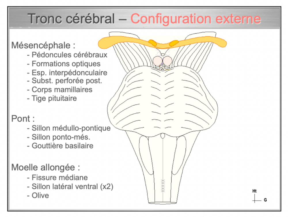 Capture d’écran 2024-02-14 à 15.11.36-min.png