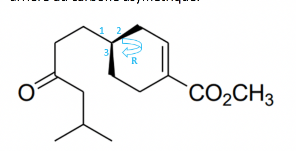 Capture d’écran 2024-02-19 à 11.25.14-min.png