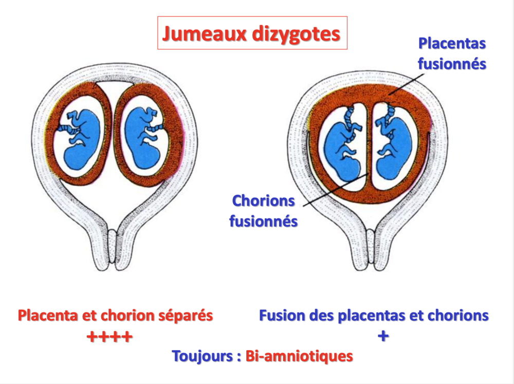 Capture d’écran 2024-03-02 à 16.56.04.png