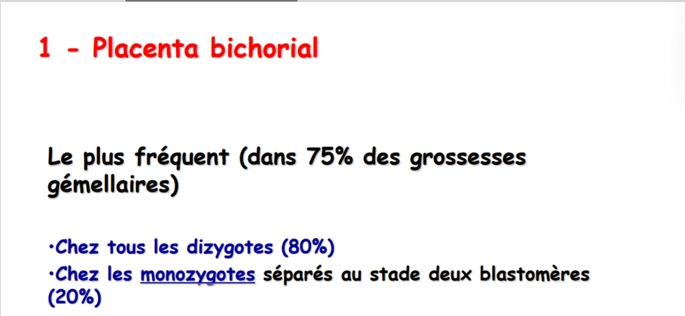 Capture d'écran 2024-03-02 172926.png