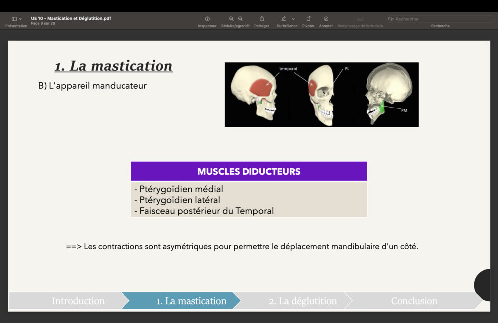 Capture d’écran 2024-03-19 à 14.31.50.png