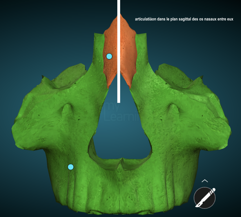 Capture d’écran 2024-03-14 à 11.55.50.png