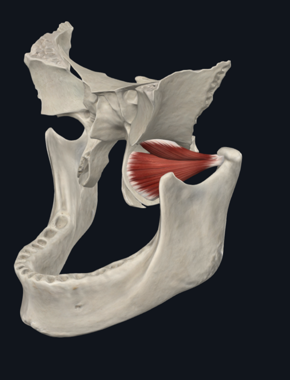 Capture d’écran 2024-03-20 à 14.50.06.png