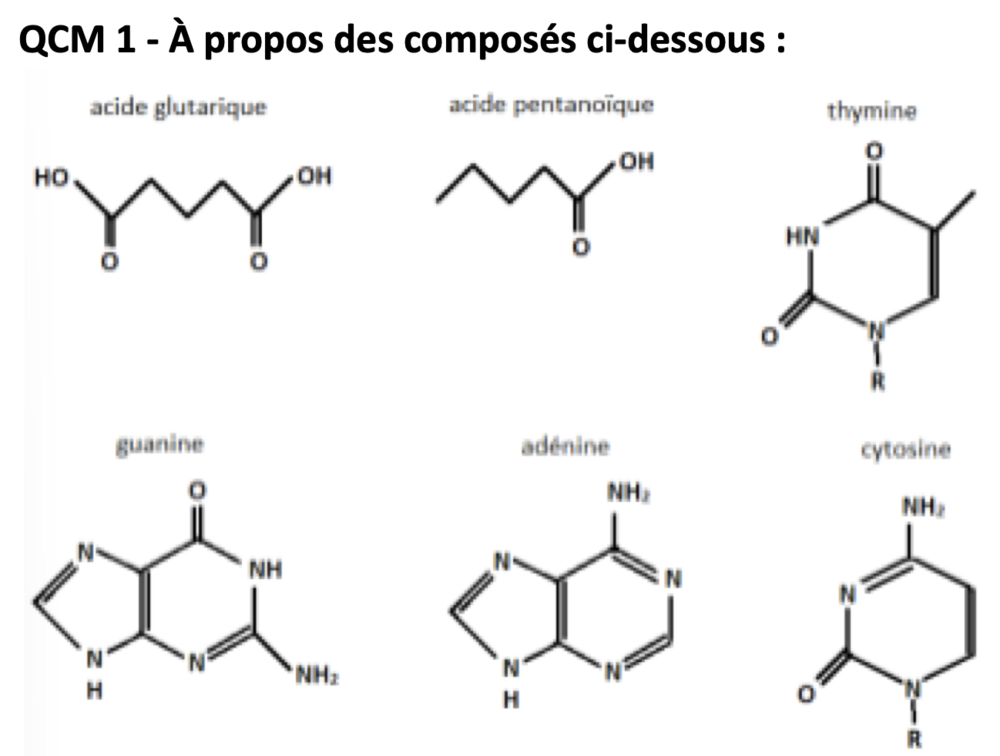 Screenshot 2024-09-28 at 11.59.37 AM.png