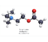 AcetylColine