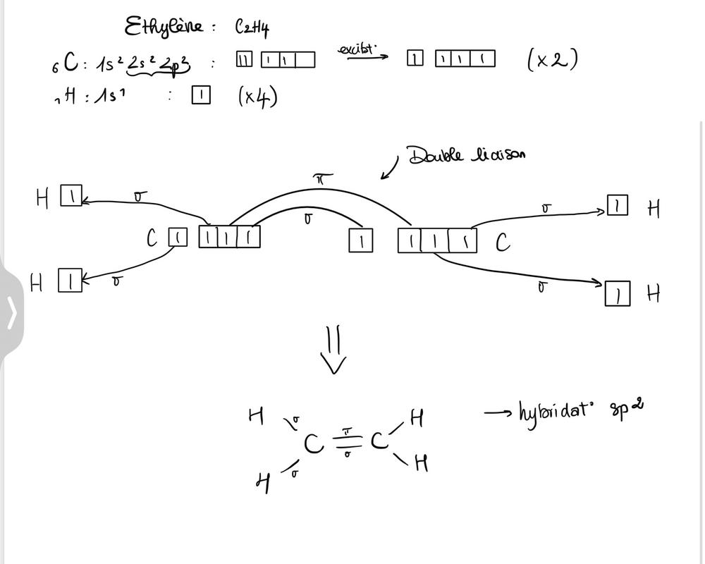 Capture d’écran . 2024-10-13 à 15.57.11.png