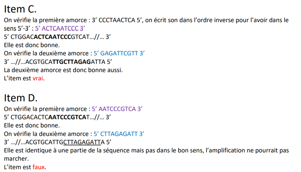 Capture d’écran 2024-10-09 183440.png
