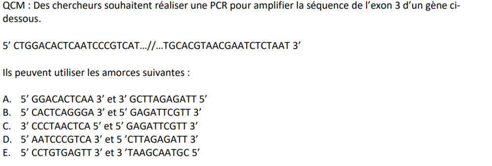 Capture d’écran 2024-10-09 183530.png