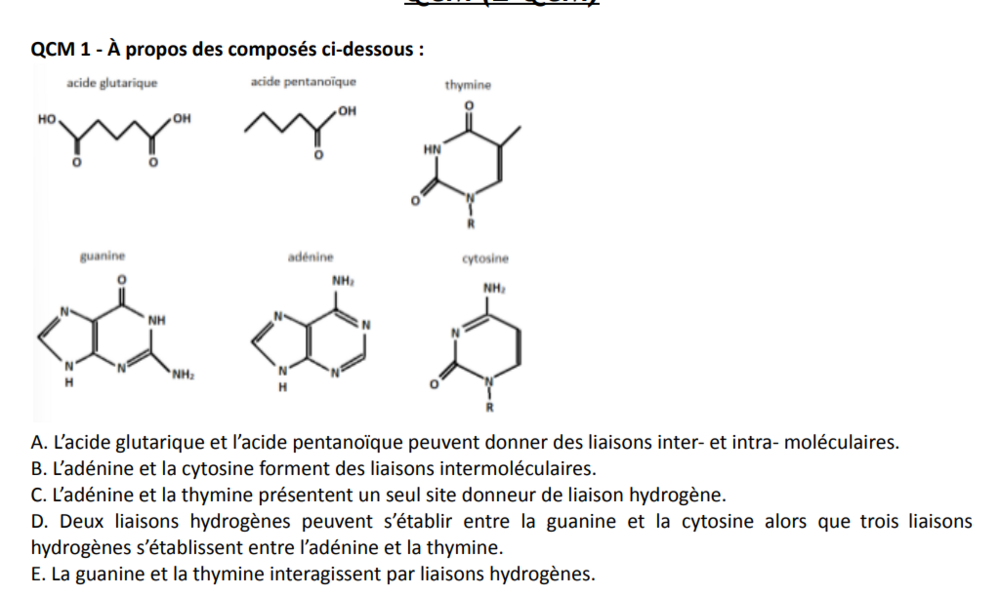 Capture d’écran 2024-10-11 120551.png