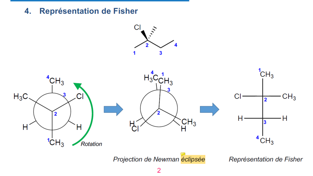 Capture d'écran 2024-10-15 135408.png