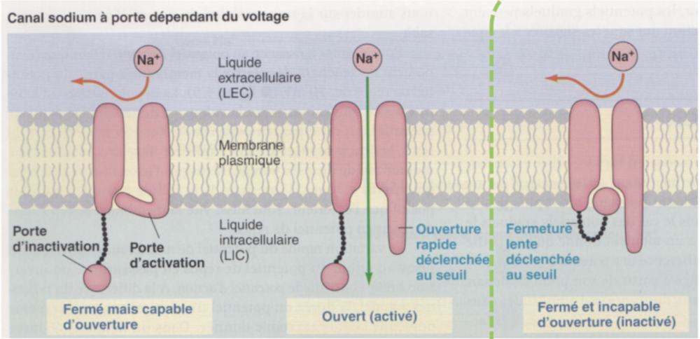 Capture d’écran 2024-10-16 à 23.29.17.png