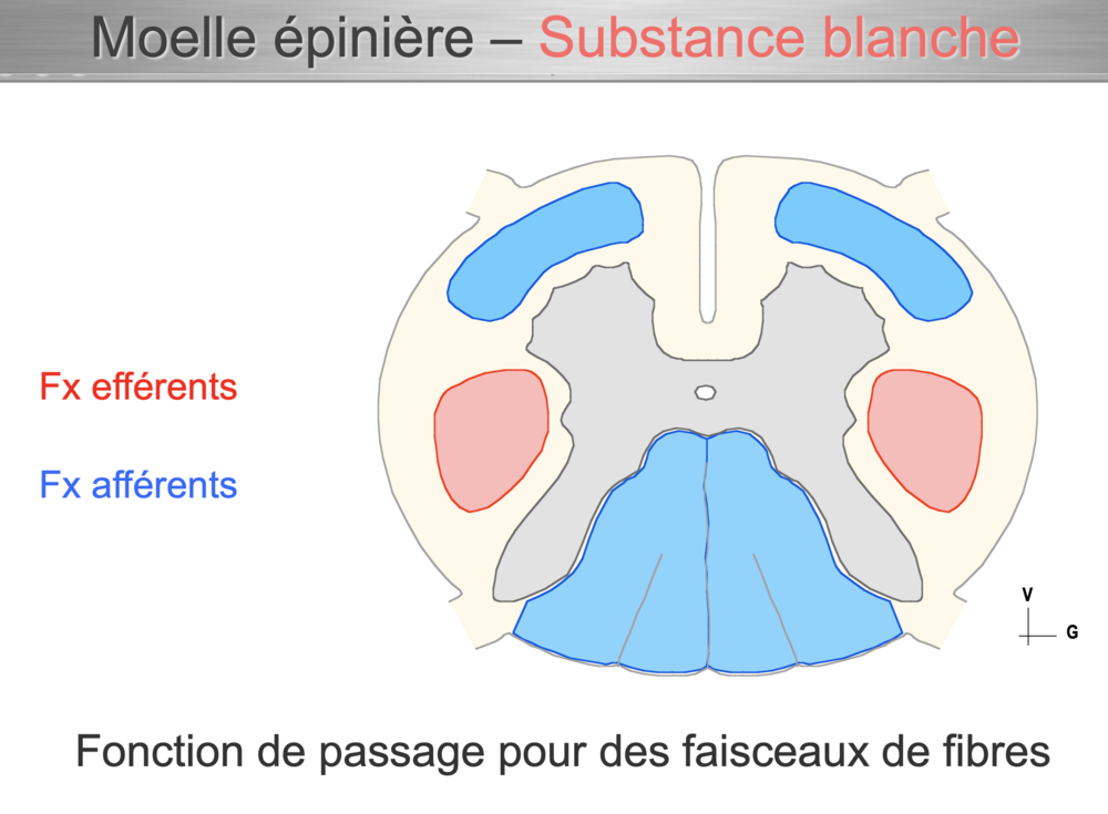 Capture d’écran 2024-10-19 à 09.14.36.png