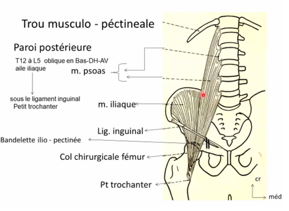 Capture d’écran 2024-10-21 à 18.26.43.png
