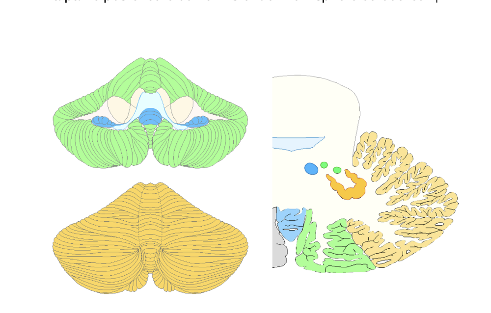Capture d’écran 2024-10-24 à 16.55.57.png