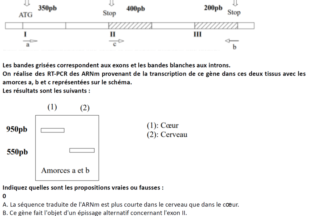Capture d’écran 2024-10-24 193402.png