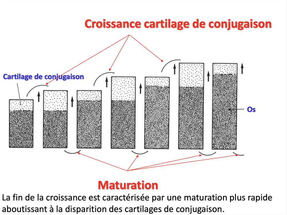Capture d’écran 2024-10-31 à 11.07.09.png