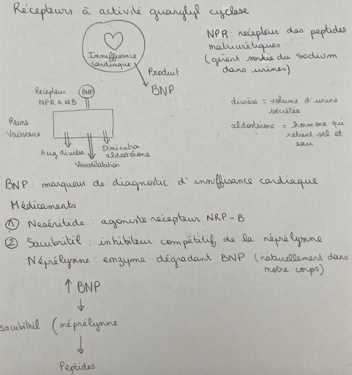 Capture d’écran 2024-10-31 à 22.19.31.png