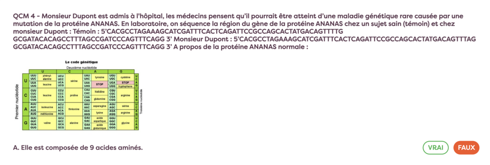 Capture d’écran 2024-10-27 à 13.39.46.png