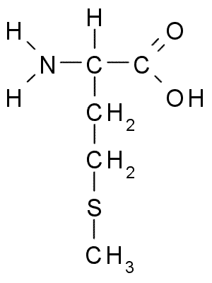 Methionine.png.e46f823c52ba58c7994b6be6b503757f.png