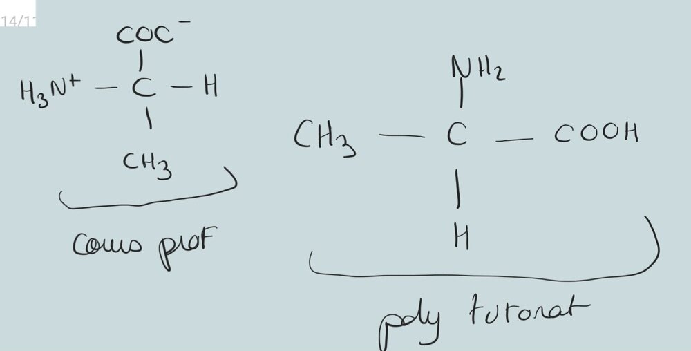 Screenshot_20241023_172716_Samsung Notes.jpg