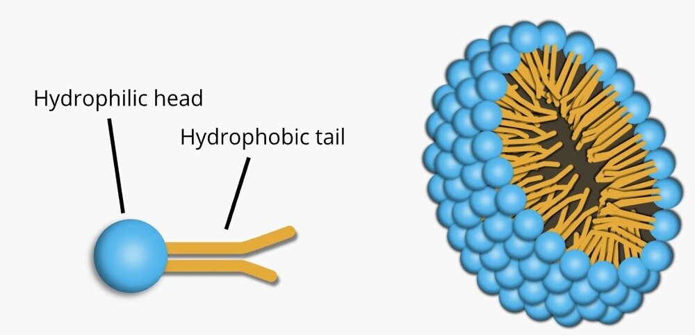 SmartSelect_20241002_142501_Samsung Internet.jpg