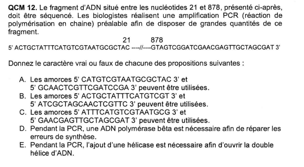 capture écran qcm amorce.png