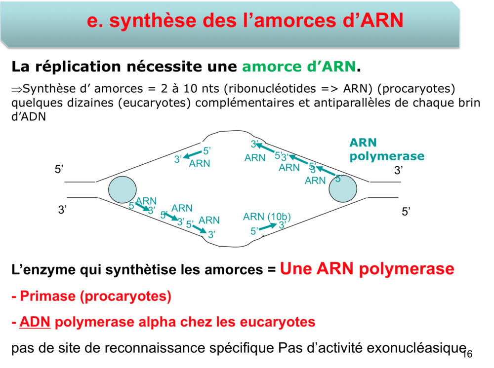 Capture d’écran 2024-11-01 à 22.55.11.png