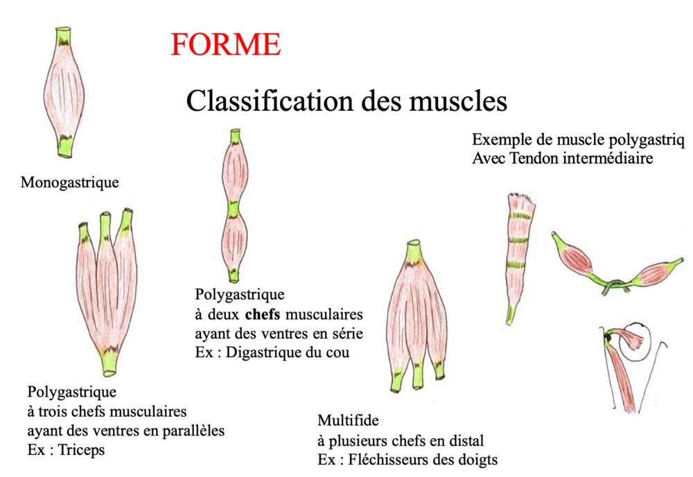 Capture d’écran 2024-11-04 à 16.54.28.png