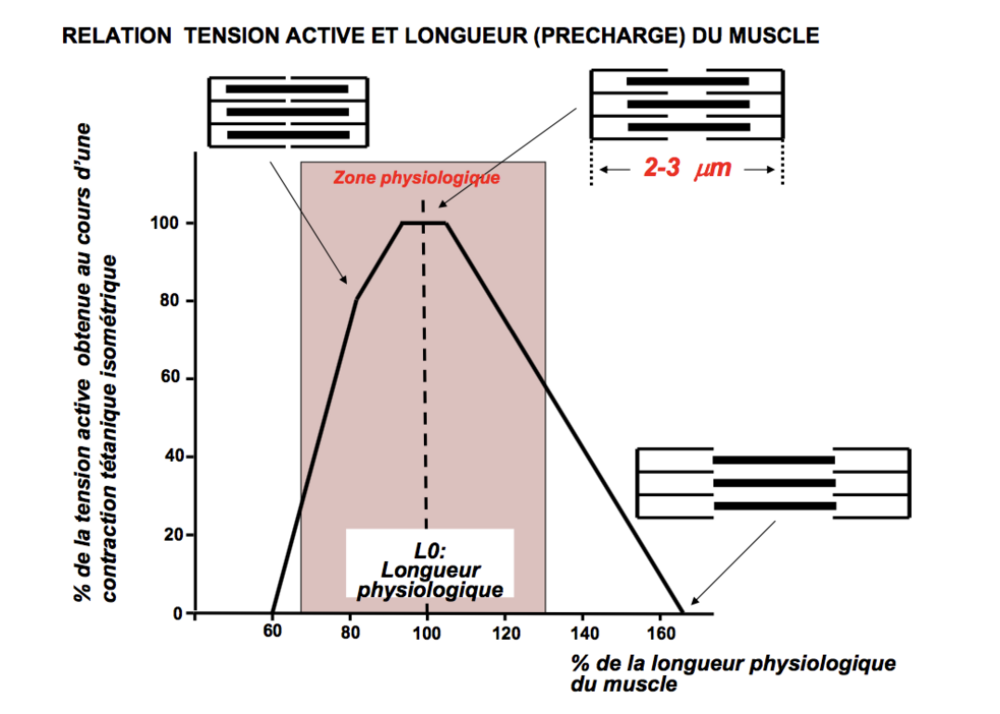 Capture d’écran 2024-11-05 à 14.48.02.png