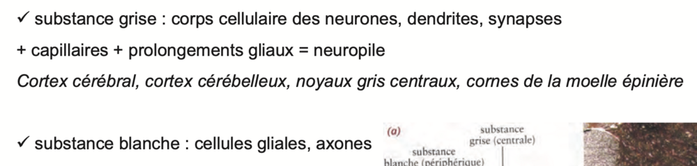 Capture d’écran 2024-11-08 à 08.58.46.png