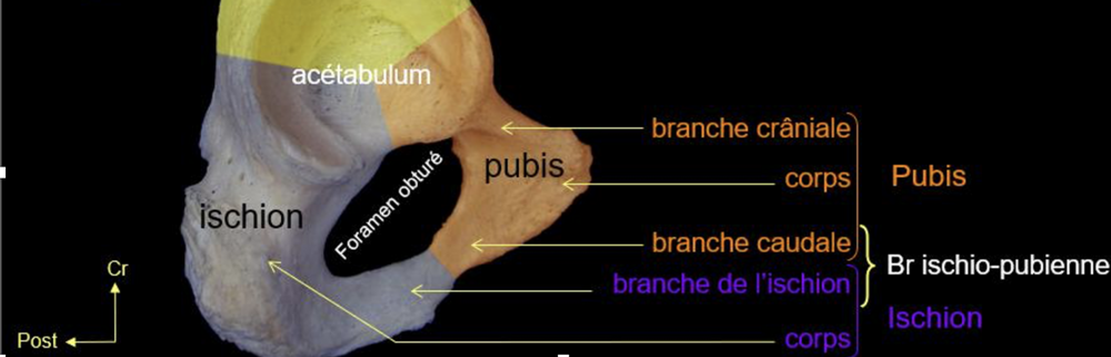 Capture d’écran 2024-11-28 à 20.54.51.png