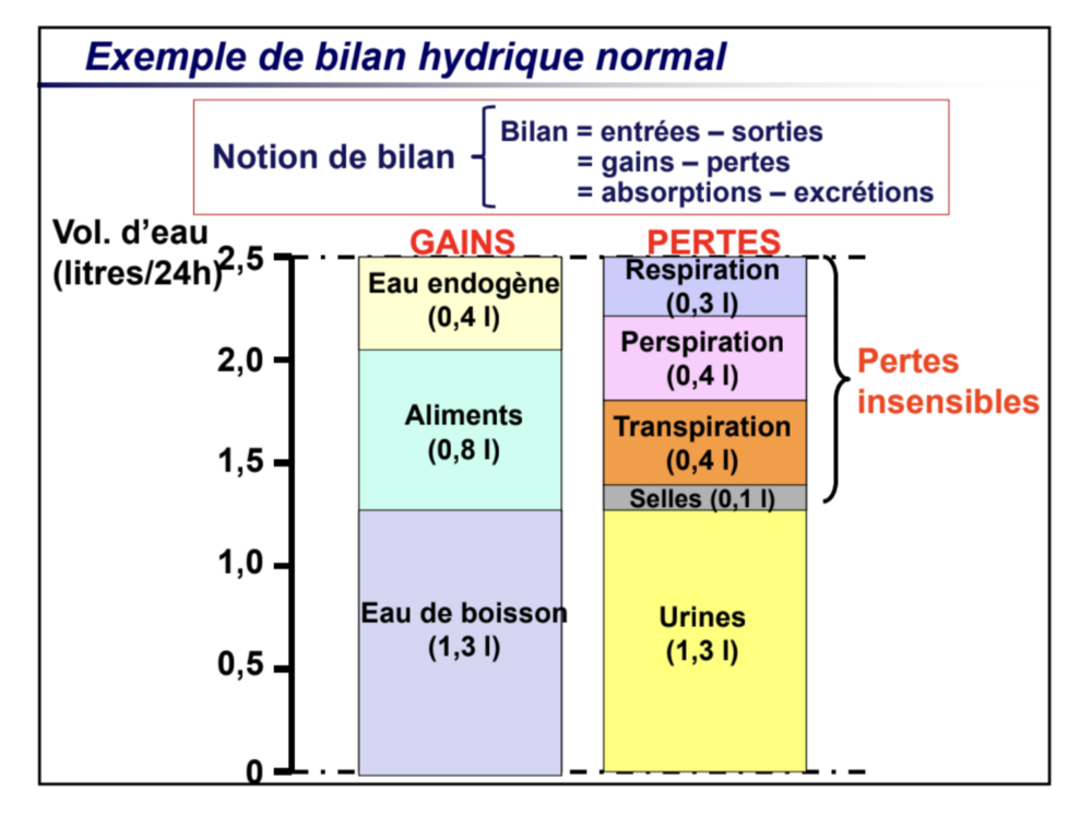 Capture d’écran 2024-11-02 à 21.57.16.png
