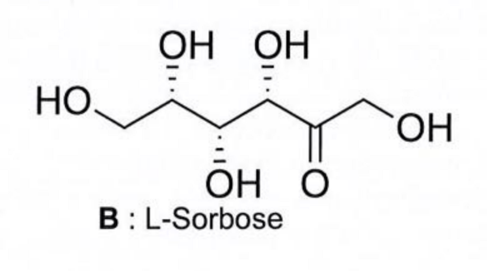 Capture d’écran 2024-11-05 à 10.12.22.png