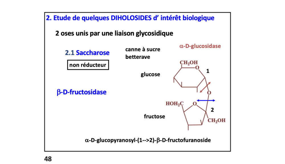 Capture d’écran 2024-11-09 à 11.18.56.png