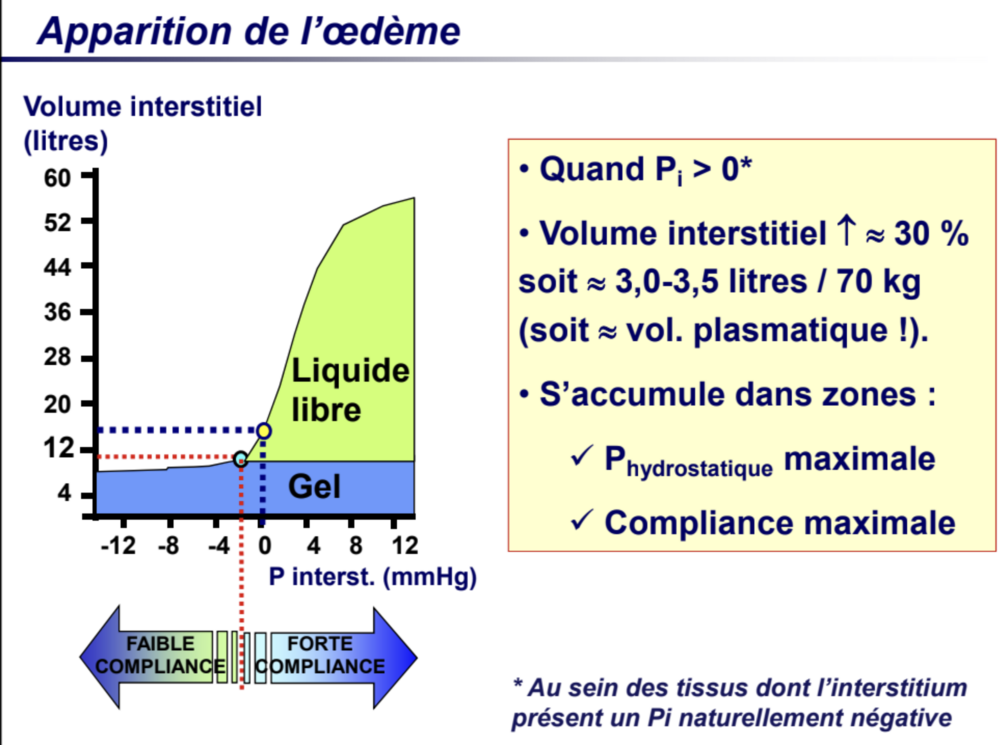 Capture d’écran 2024-11-27 à 13.45.02.png
