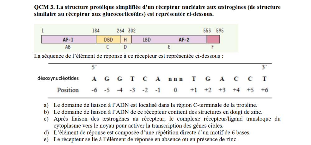 Immagine 2024-11-06 190631.png