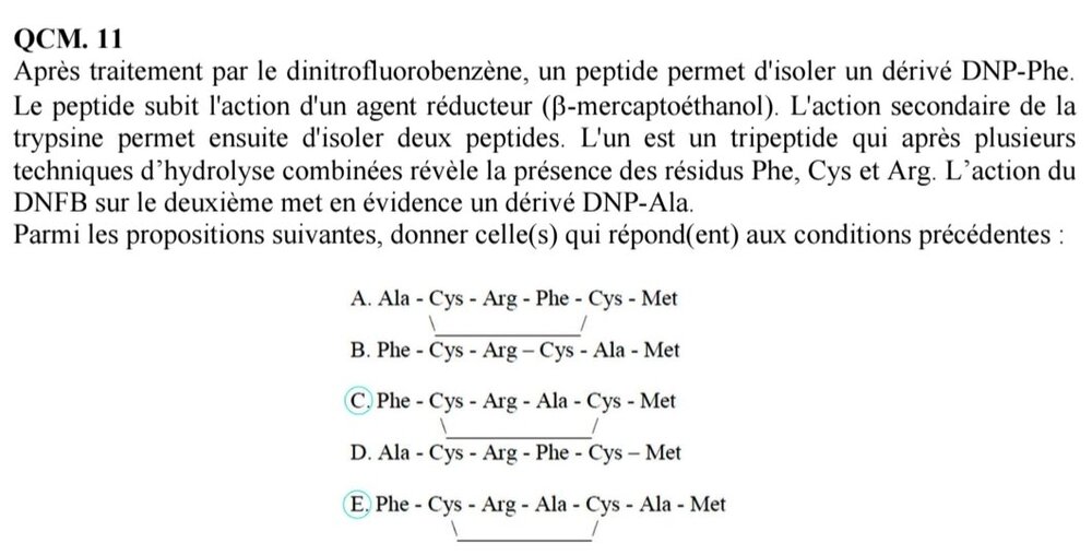 Screenshot_20241106_121804_Samsung Notes.jpg