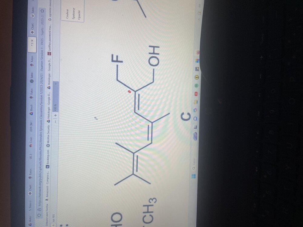 WhatsApp Image 2024-11-12 à 21.18.07_b30ba287.jpg