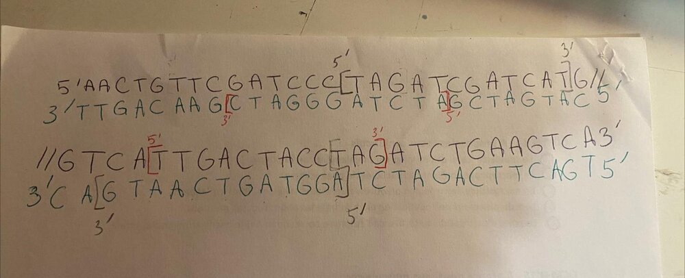 WhatsApp Image 2024-11-15 à 19.46.34_5ad0c3dc.jpg