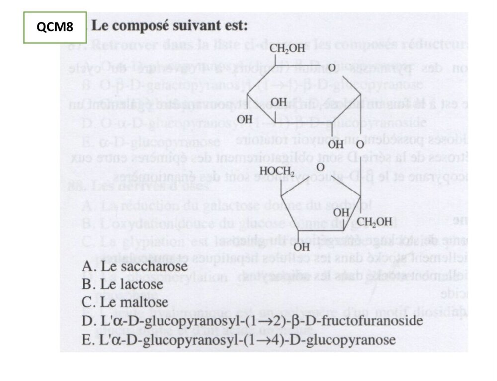 Biochimie.jpg