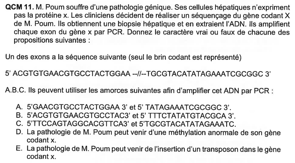 Capture d’écran 2024-12-01 à 18.41.55.png