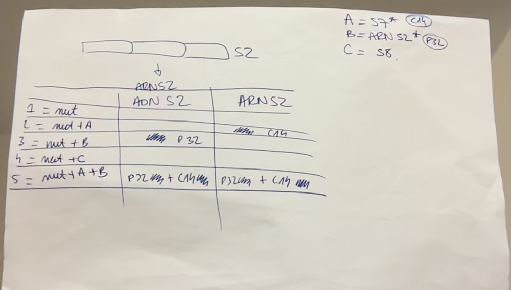 Capture d’écran 2024-12-01 à 22.04.46.png