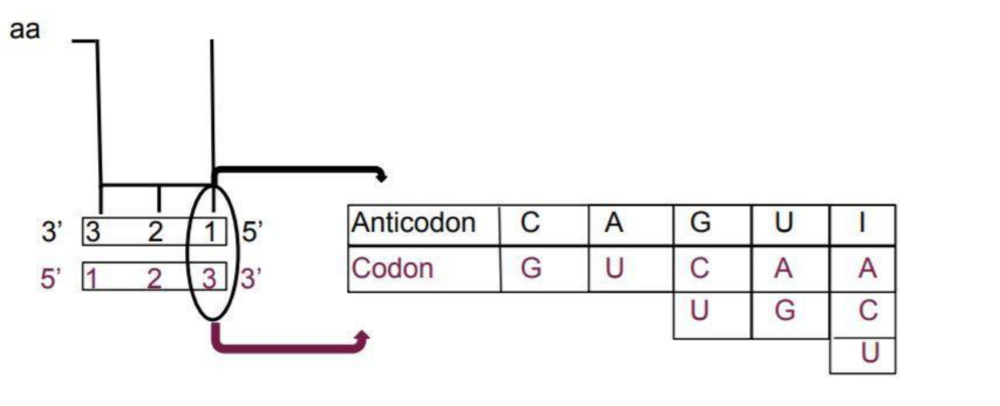 Capture d’écran 2024-12-04 à 11.13.48.png