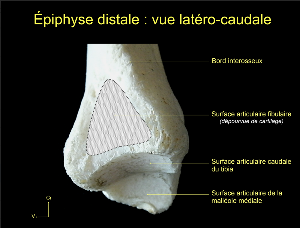 Capture d’écran 2024-12-04 à 18.04.49.png