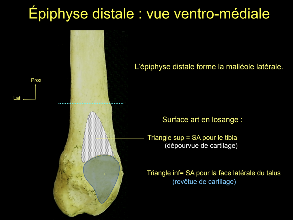 Capture d’écran 2024-12-04 à 18.05.31.png