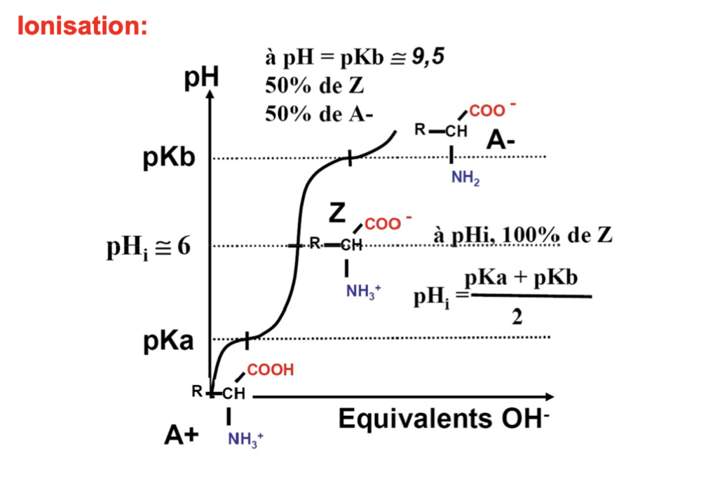Capture d’écran 2024-12-05 à 09.12.14.png