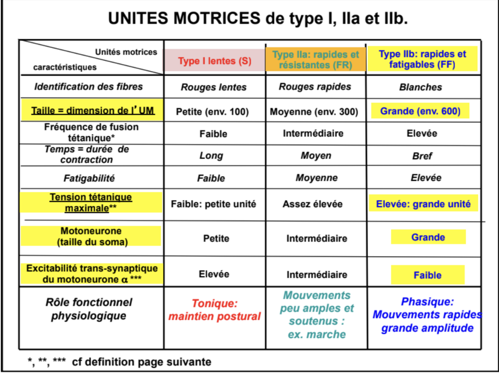 Capture d’écran 2024-12-13 à 16.08.51.png