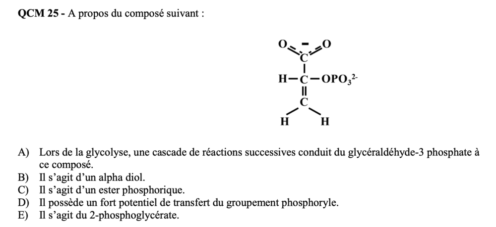 Capture d'écran Déc 14 2024.png