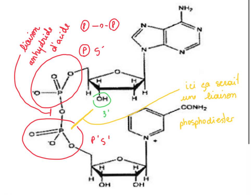 Screenshot-2024-12-07-17-46-44 hosted at ImgBB — ImgBB.png