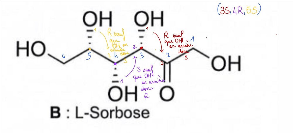 Screenshot_20241211_131341_Samsung Notes.jpg